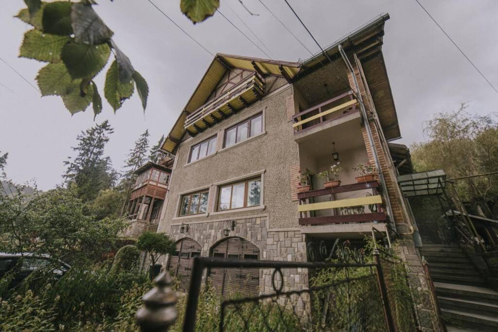 Predoi'S Place Sinaia Ngoại thất bức ảnh